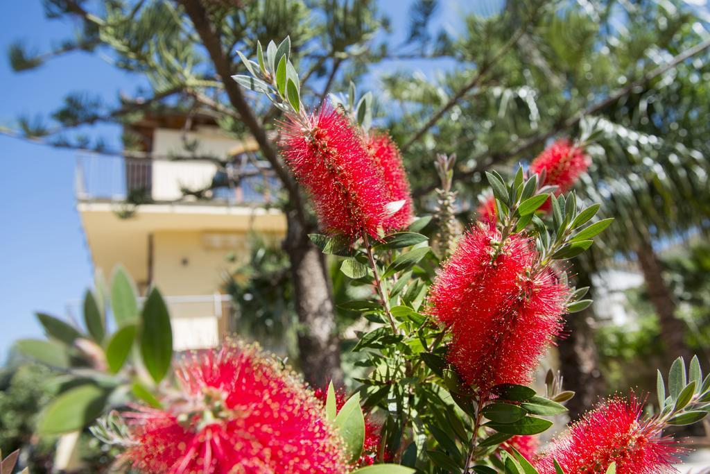 Apartmán Helios Casa Vacanze Alcamo Marina Exteriér fotografie